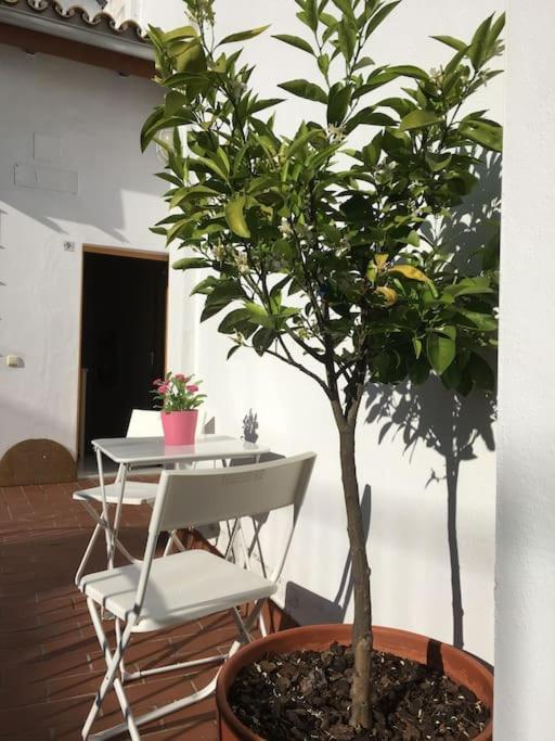 Appartement Catedral - Francos Séville